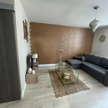 T2 Refait A Neuf Sur Le Theme Oriental Appartement
